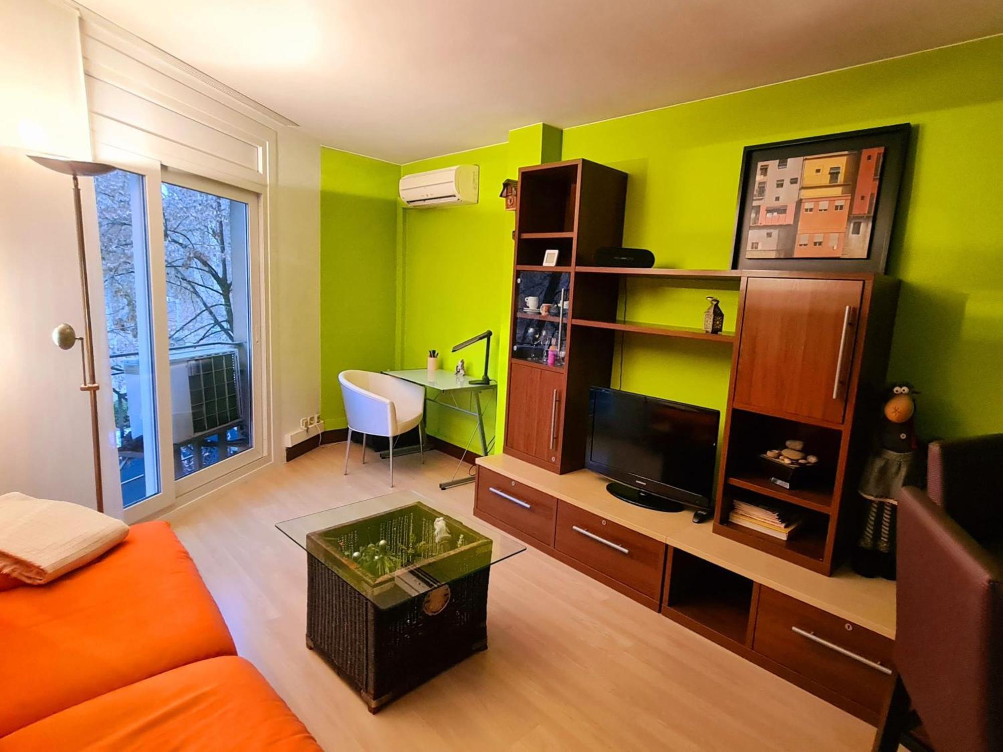 Acogedor Apartamento Girona Centroアパートメント エクステリア 写真